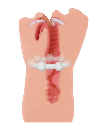 Мастурбатор Hot Babe Satisfaction